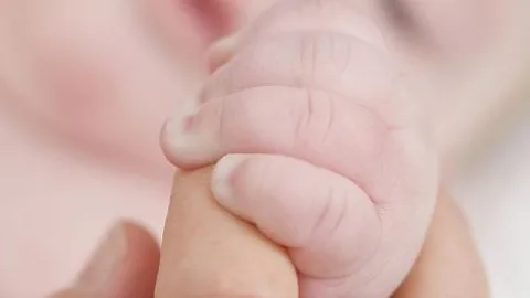 Foto de archivo, mano de un bebé.