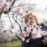La alcaldesa visitó ayer la Quinta de los Molinos, donde pudo disfrutar de sus almendros, que ya están en flor