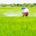 Las organizaciones ecologistas piden que se prohíba su utilización