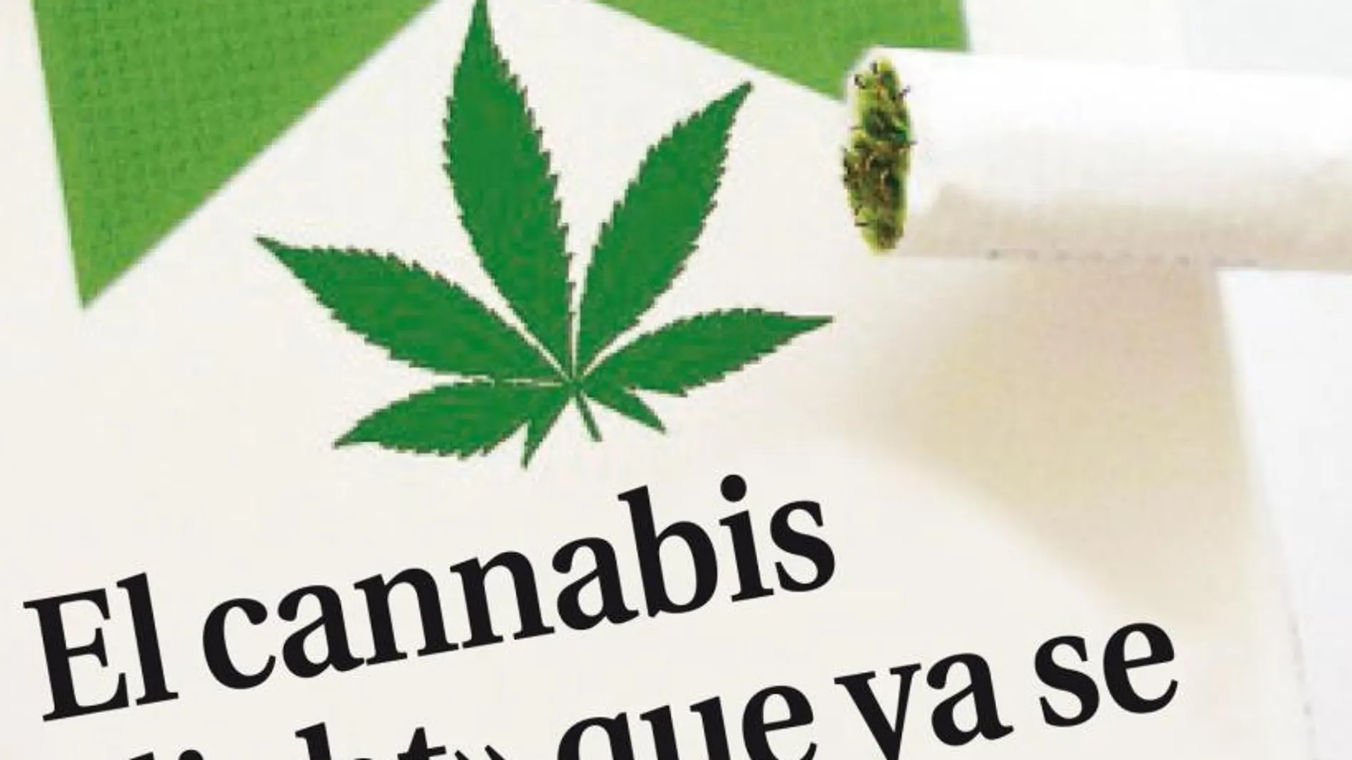 El cannabis «light» que ya se vende en Europa