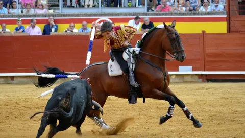 El rejoneador Guillermo Hermoso de Mendoza / Efe