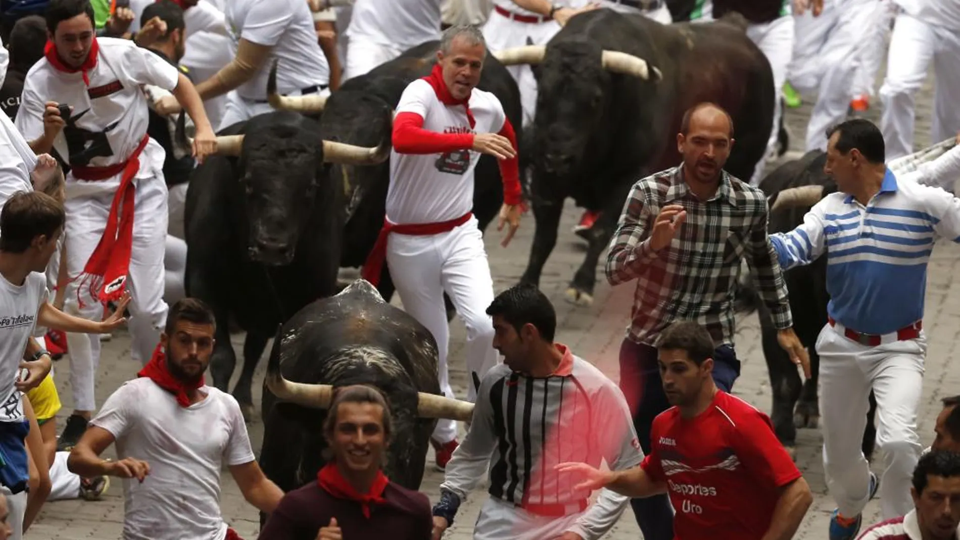 La manada de la ganadería madrileña de Victoriano del Río Cortes, a su llegada al callejón de la plaza pamplonica