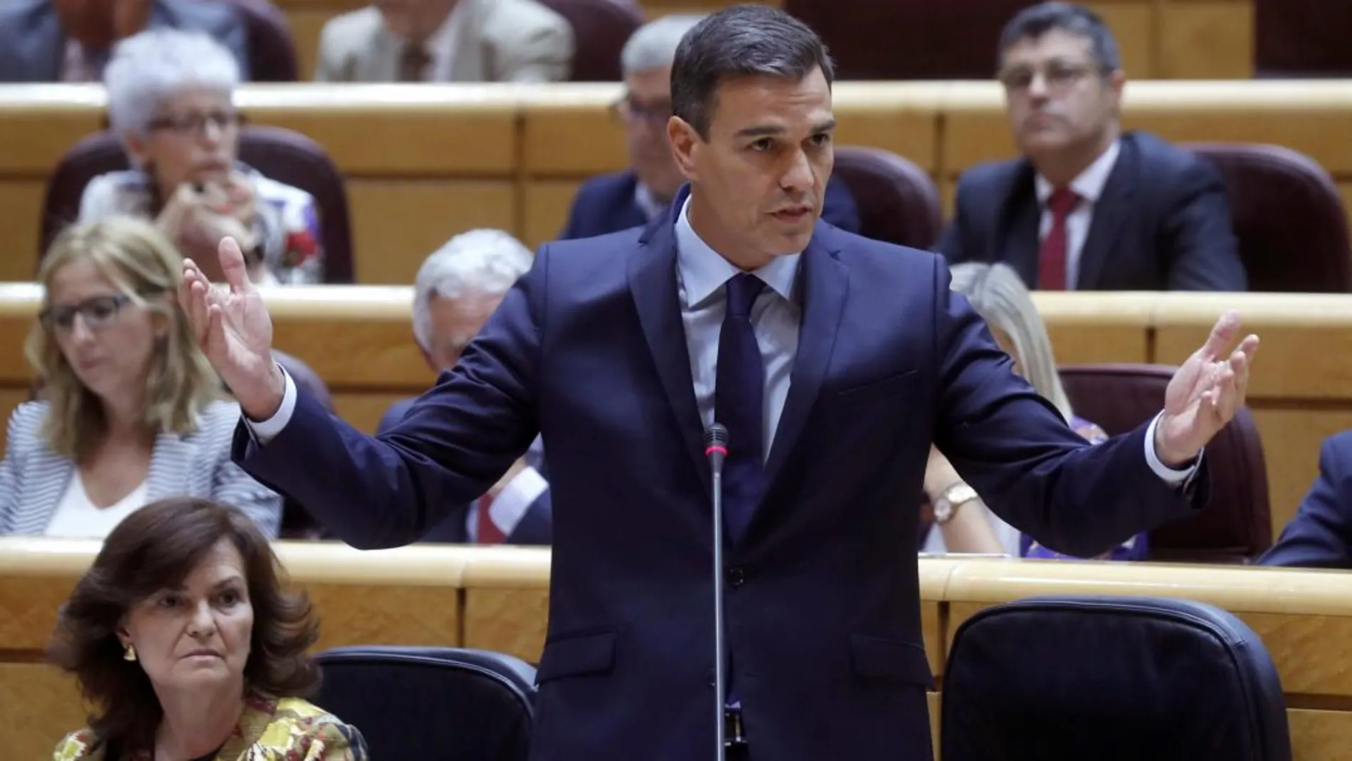 El presidente del Gobierno, Pedro Sánchez, interviene durante la sesión de control del Gobierno que tiene lugar esta tarde en el Senado. EFE/Kiko Huesca