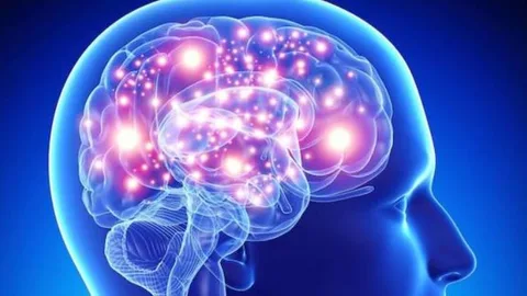 ¡A tu cerebro le gusta ganar! (parte 1)