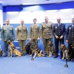 Guías caninos de la Guardia Civil, del Ejército y de la Policía Nacional, con sus respectivos perros