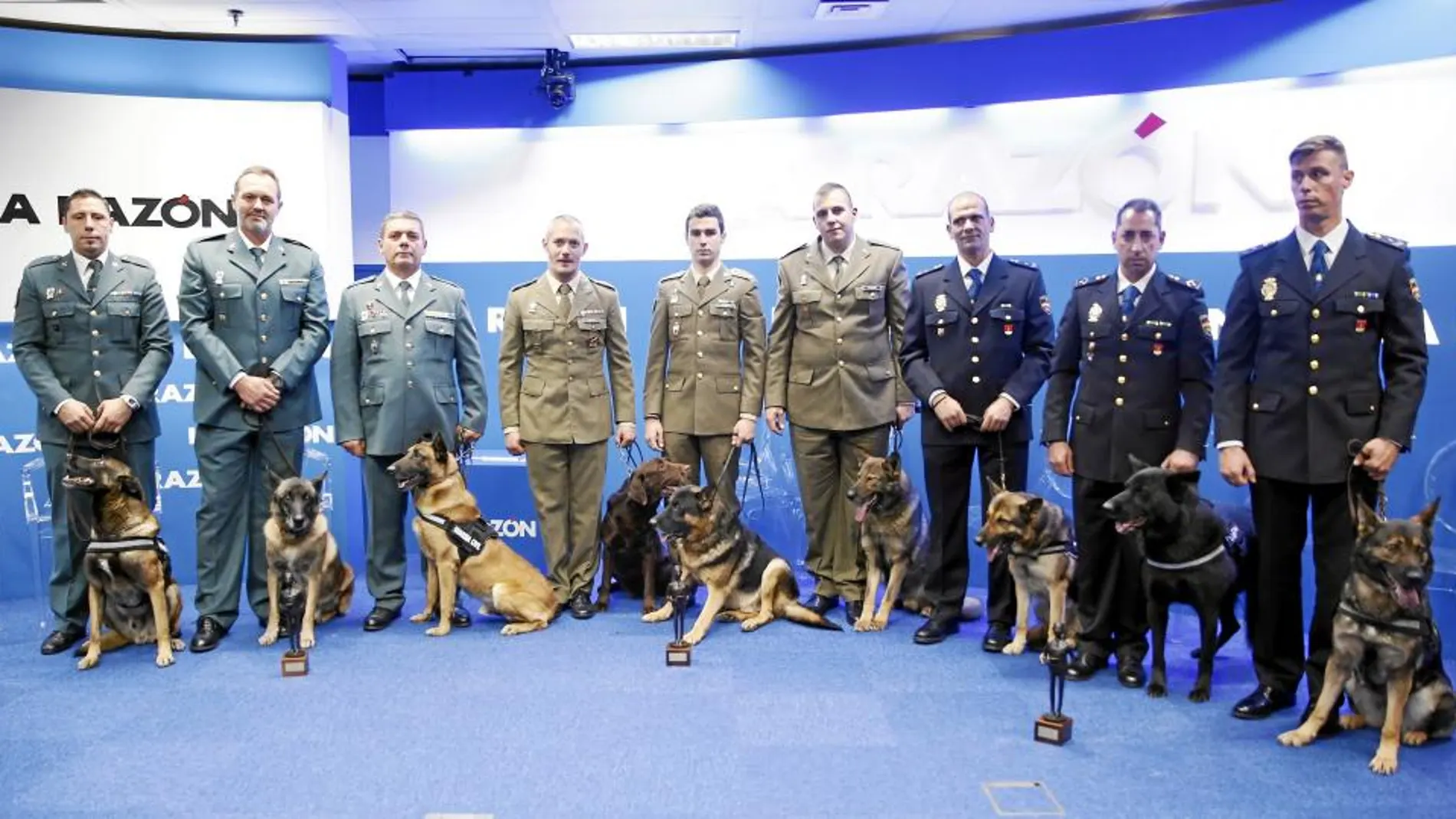 Guías caninos de la Guardia Civil, del Ejército y de la Policía Nacional, con sus respectivos perros