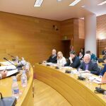 El ex presentador de Canal 9 Ximo Rovira acudió ayer a la Comisión de RTVV de Les Corts
