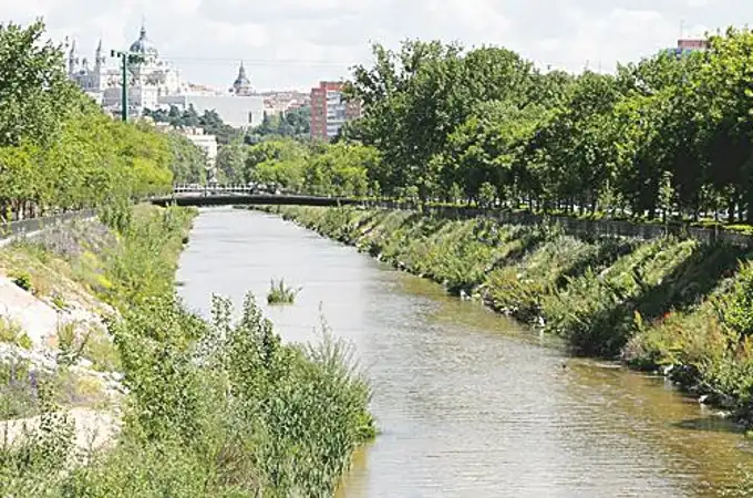 Apuesta a cuatro bandas para mejorar los ríos madrileños