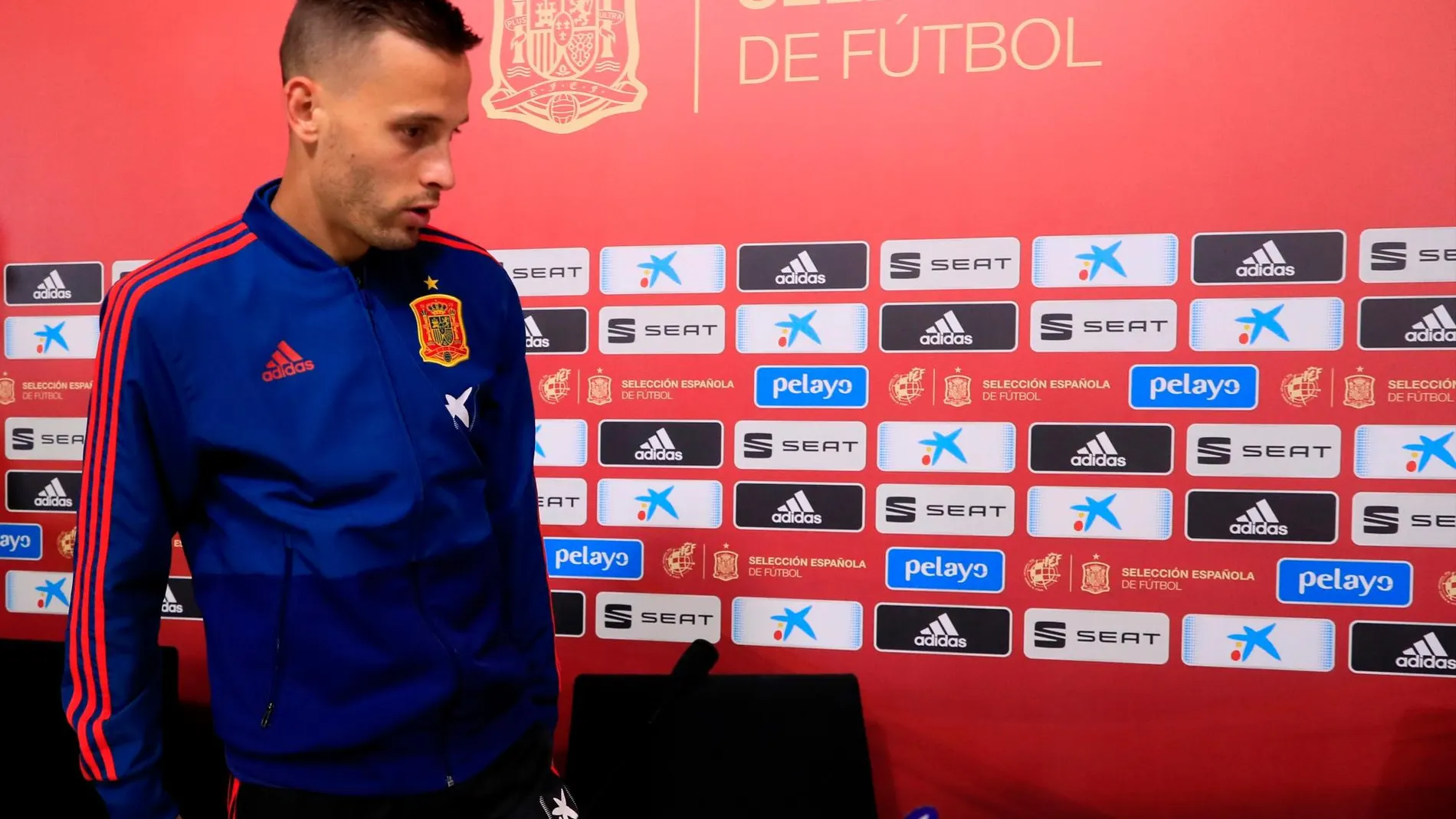 El delantero de la selección española Sergio Canales, durante la rueda de prensa ofrecida en la Ciudad del Fútbol de Las Rozas / Efe