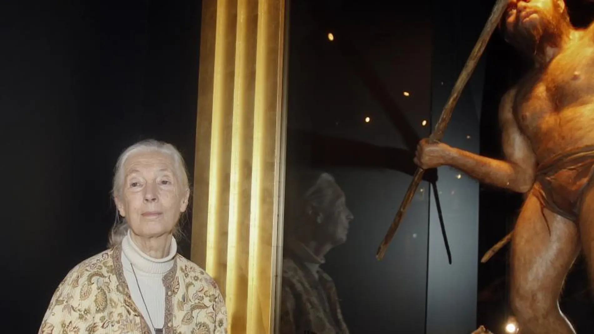 Jane Goodall: «La investigación con animales no ha ayudado a la sociedad»