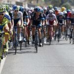 Un pelotón ciclista