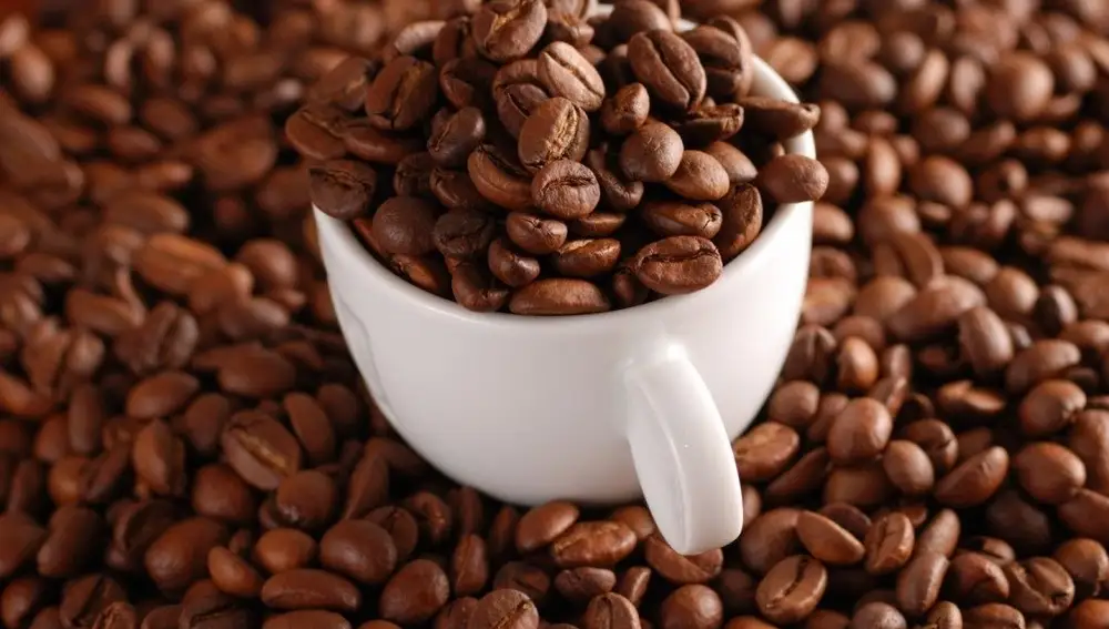 El café en grano no es lo único que se puede aprovechar del arbusto del cafeto