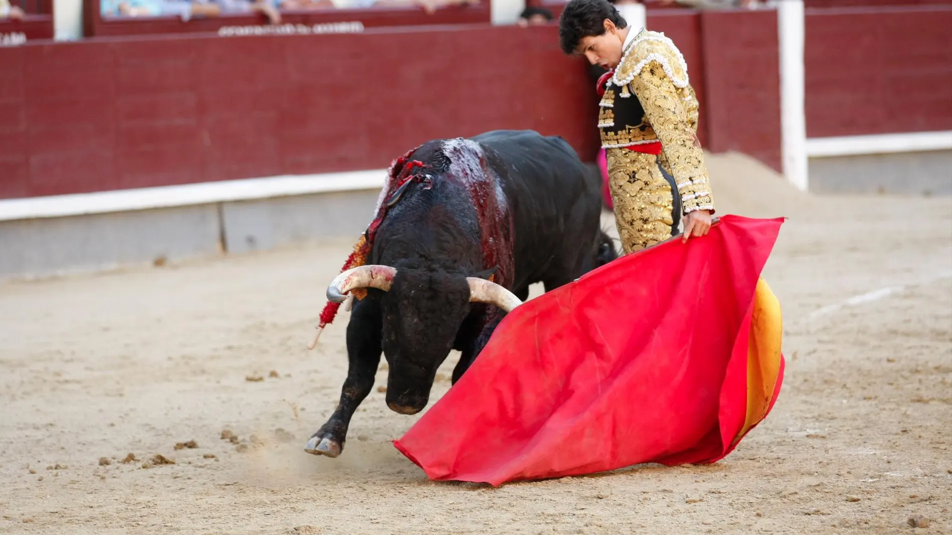 Diego Fernández en una novillada en Las Ventas, en imagen de archivo