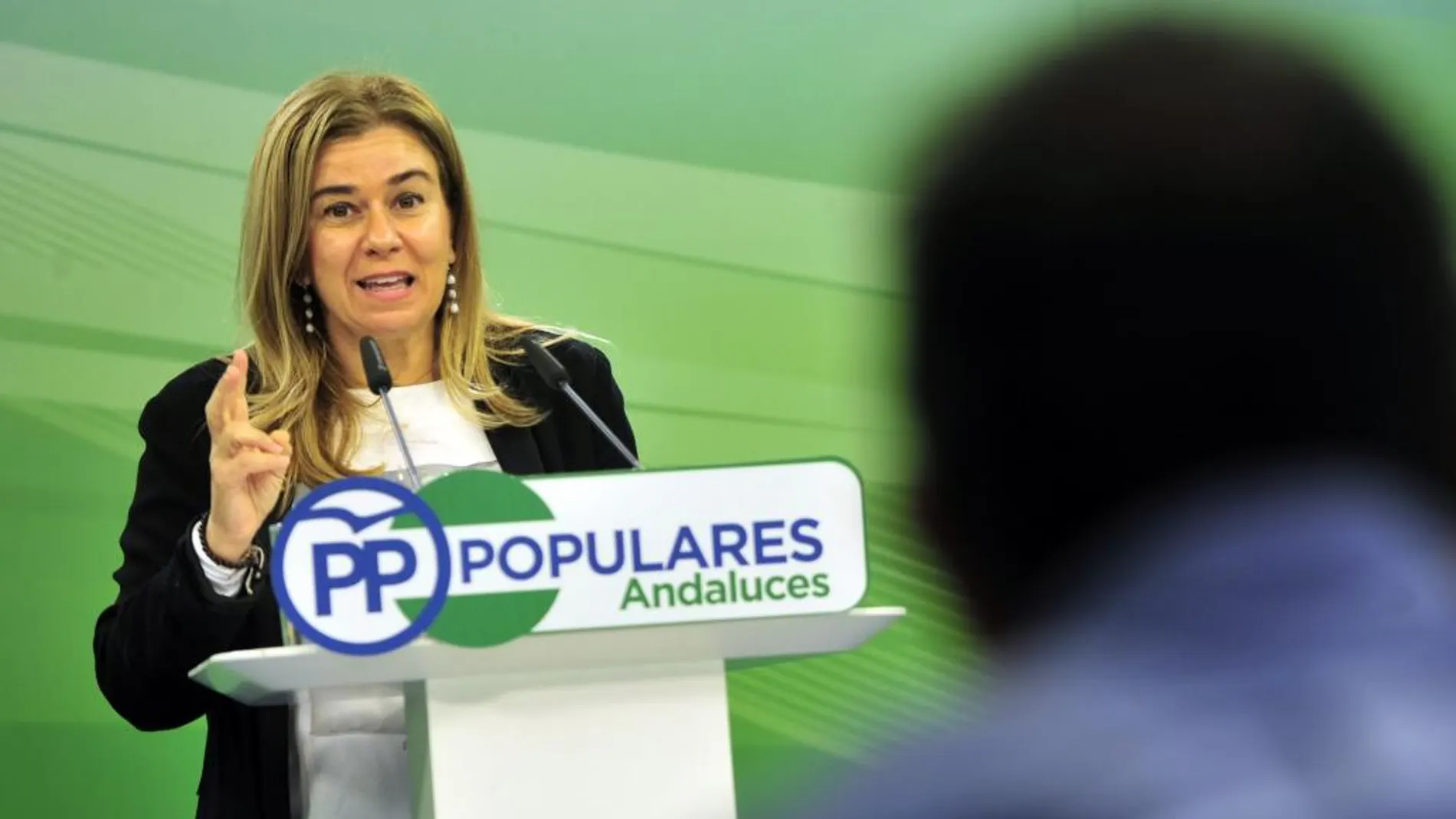 Portazo del Consejo de Transparencia al PP tras pedir información de los ERE