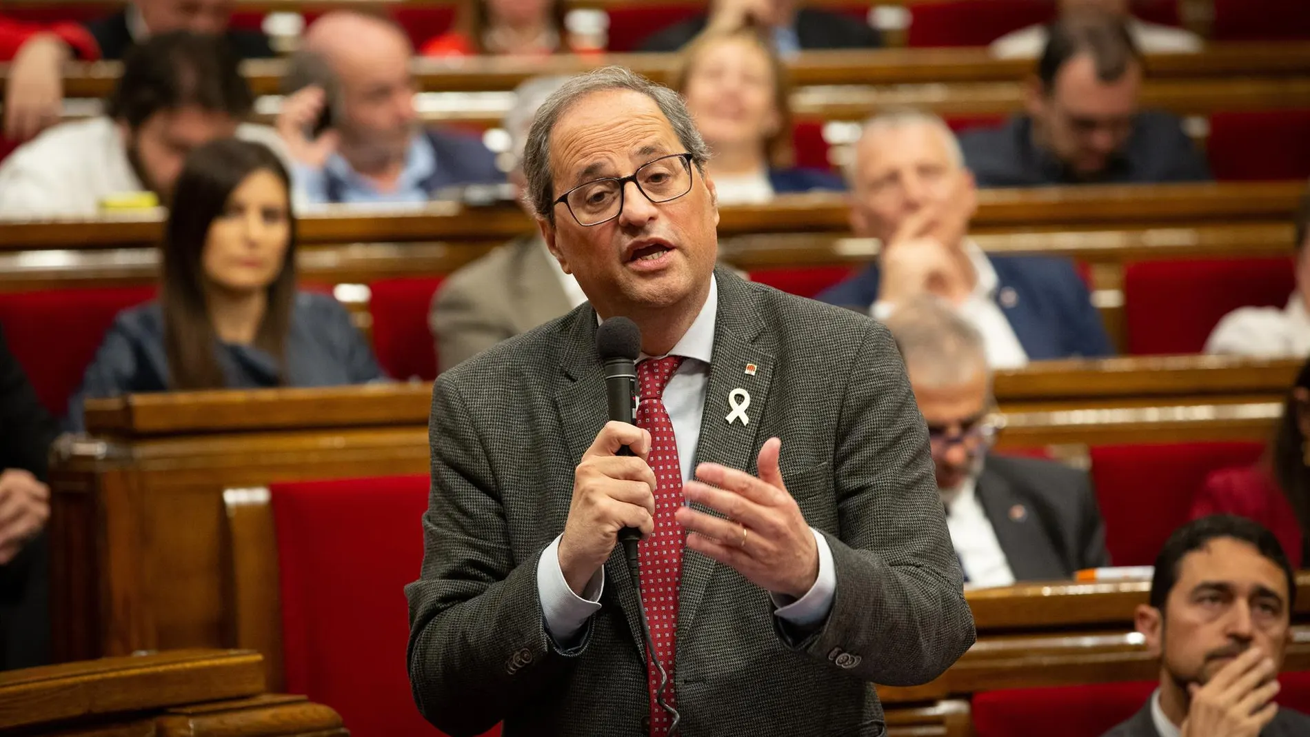 Quim Torra en una sesión de control del Parlament