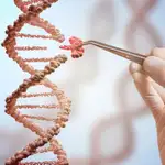 La modificación genética en humanos, hitos y precedentes
