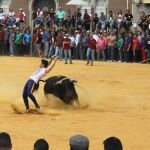 En la provincia de Jaén existen numerosas ganaderías
