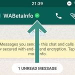 WhatsApp incluirá la verificación de perfiles para las empresas
