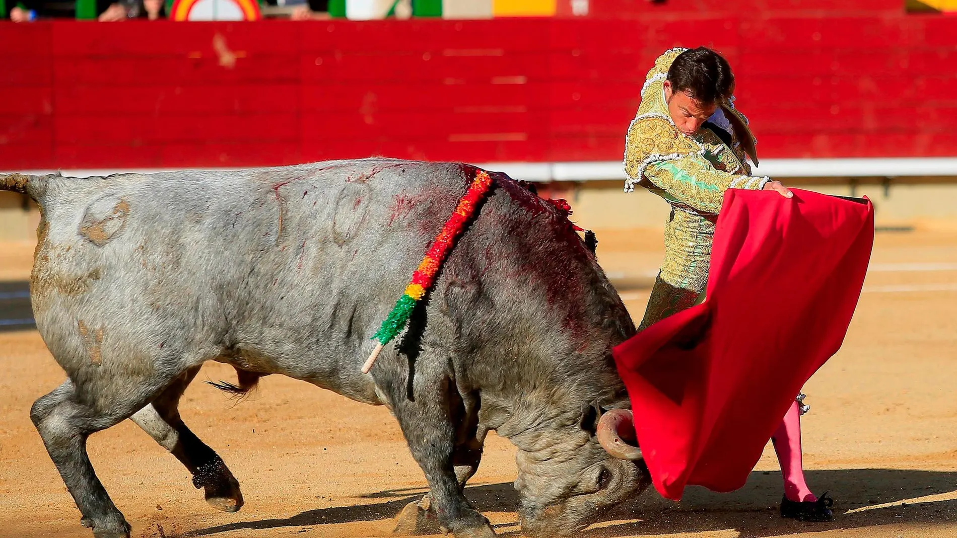 El diestro Paco Ramos cortó la única oreja de la tarde en el festejo de Castellón
