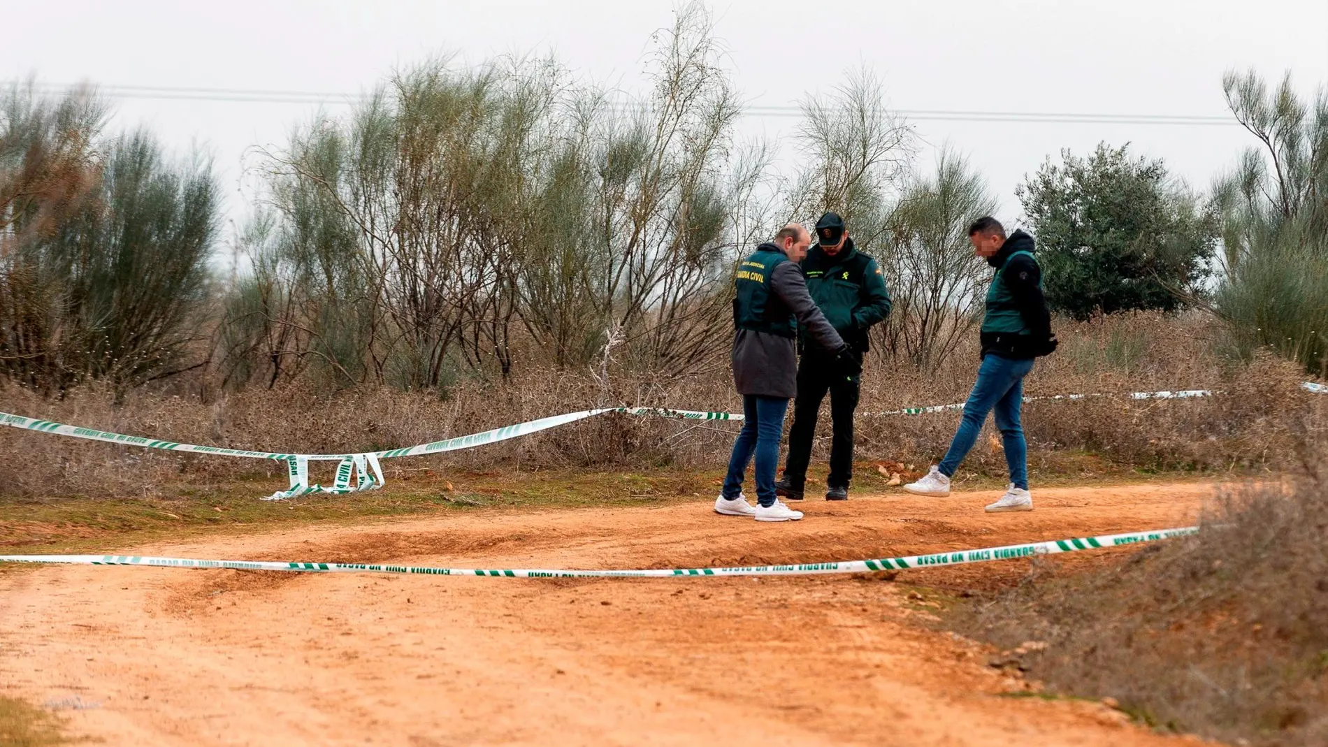 El cuerpo sin vida fue encontrado en una zona de campo que pertenece al término municipal de Meco (Madrid). EFE/Nacho Izquierdo
