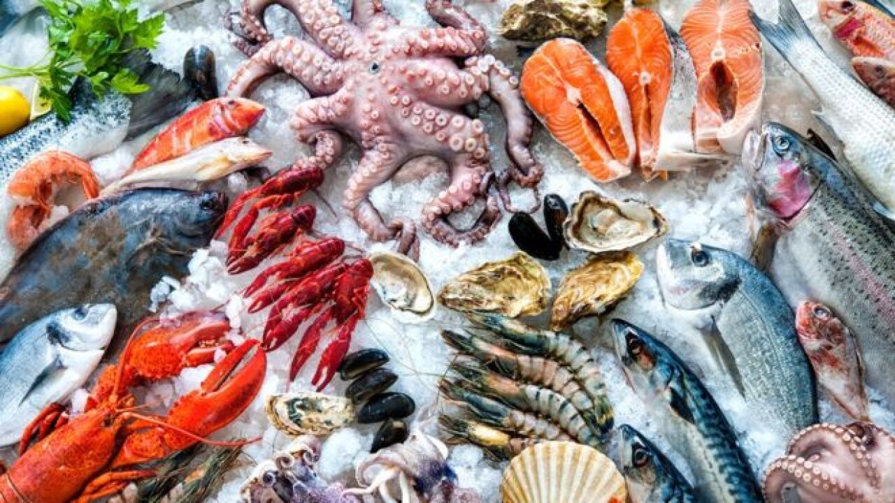 Contaminantes en mariscos