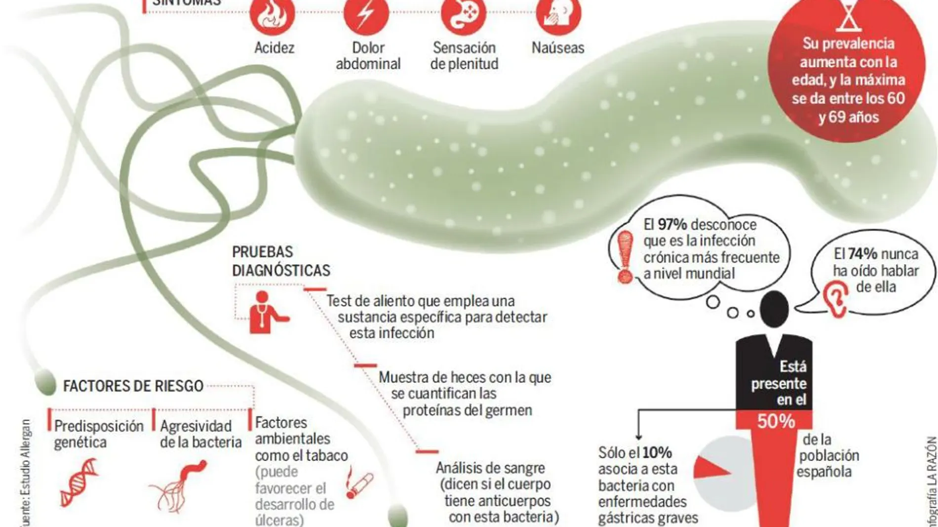 El Helicobacter Pylori afecta al 50% de los españoles