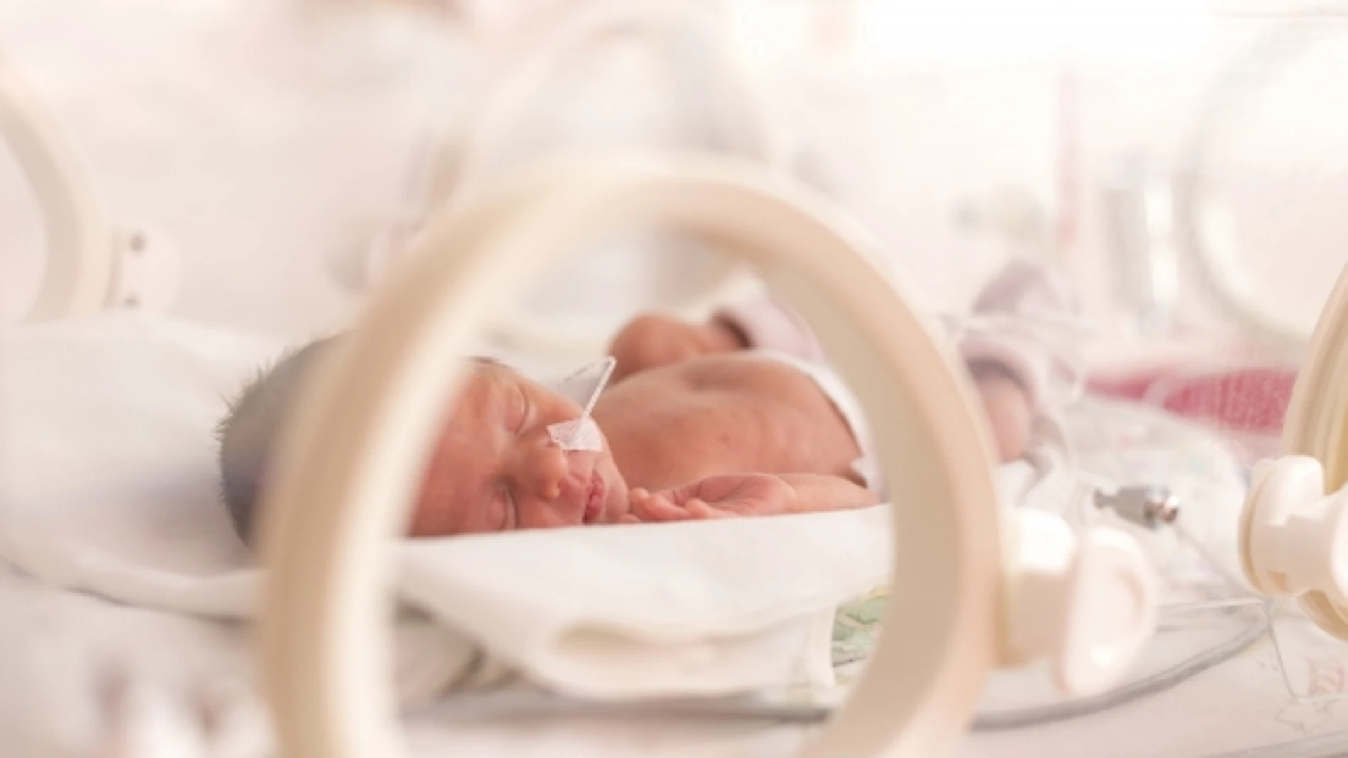 Los bebés prematuros que son cuidados por sus padres mejoran más y antes