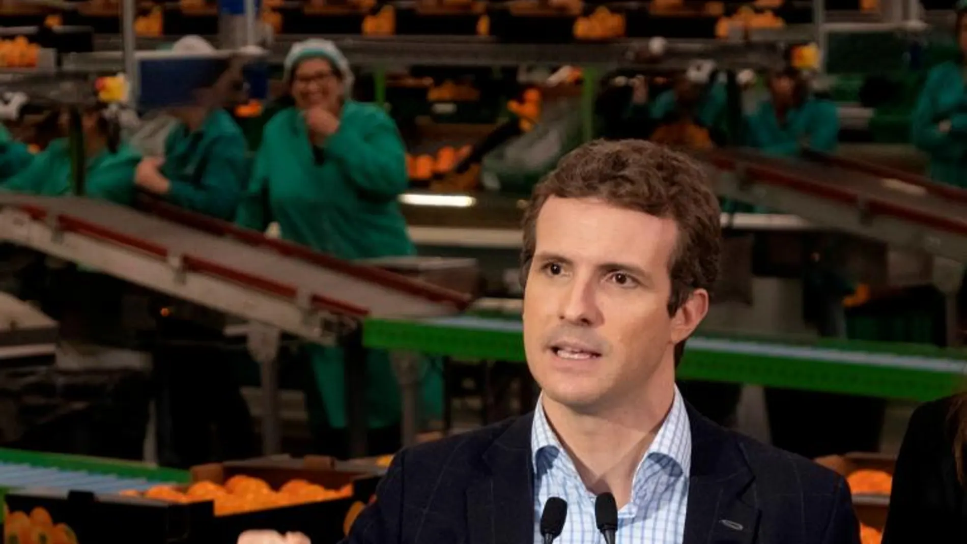 El presidente del PP, Pablo Casado