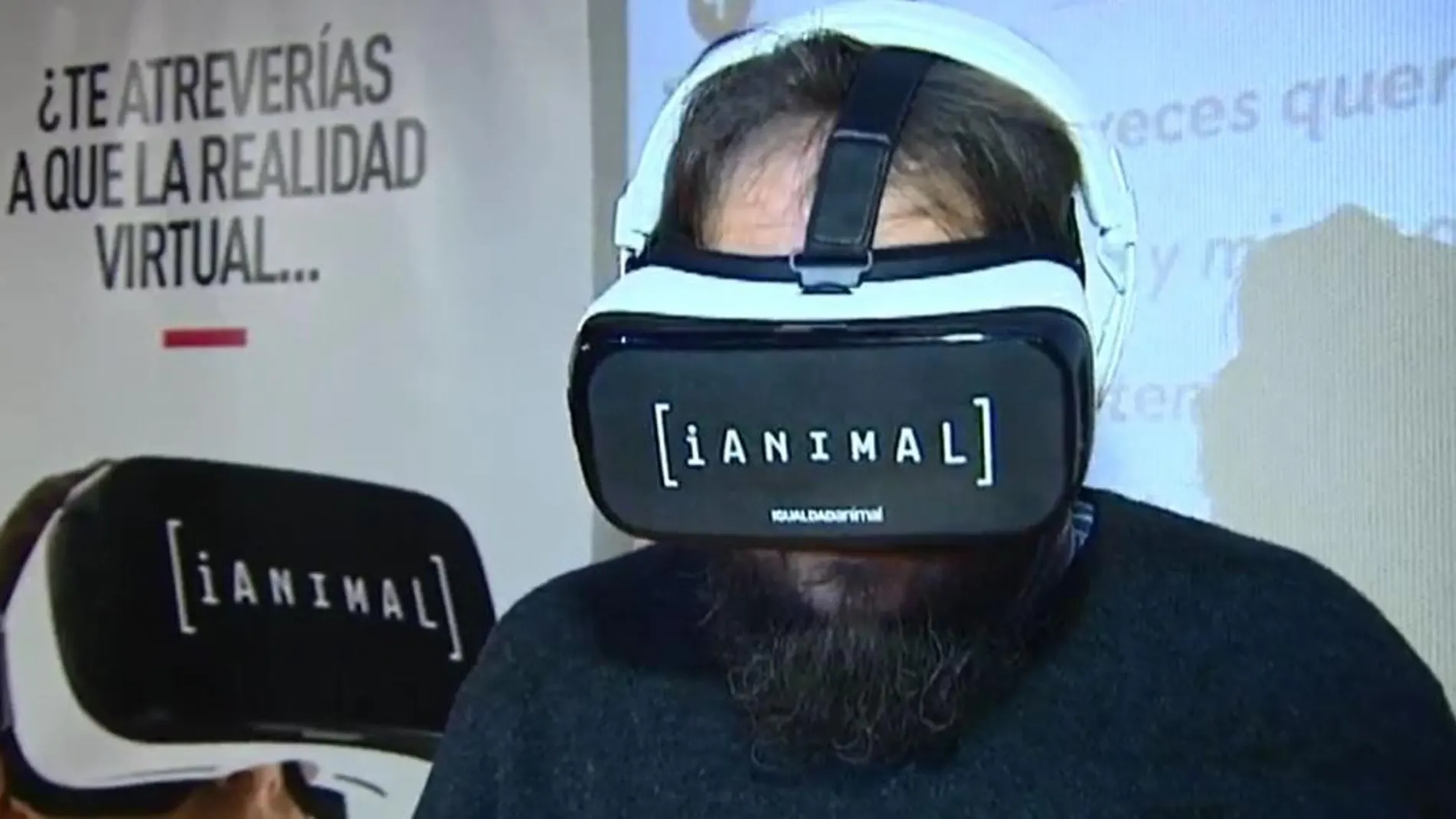 Visita virtual a un matadero para denunciar el maltrato animal