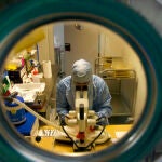 Un investigador trabaja con ratones en el Centro de Investigaciones Biológicas