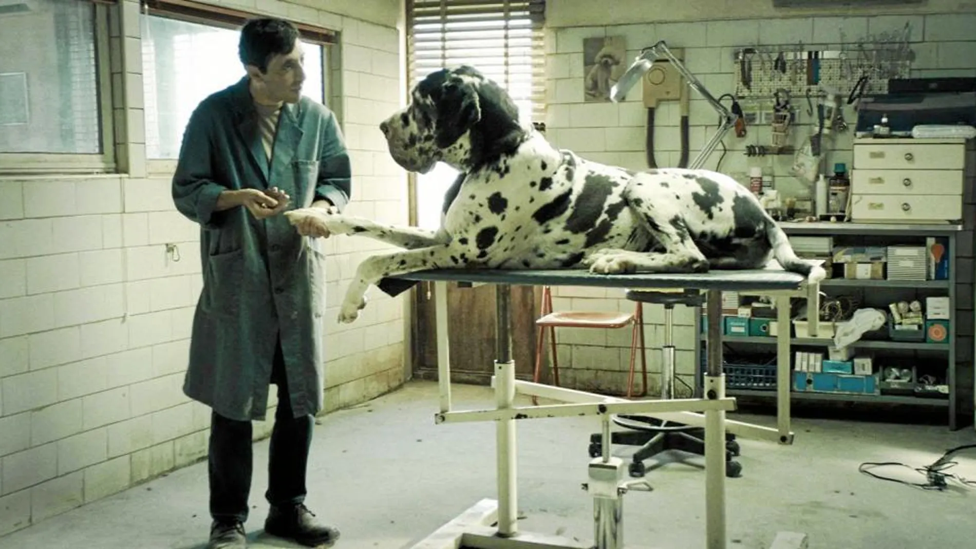 Marcello Fonte da vida al protagonista del filme, de Matteo Garrone, un peluquero canino