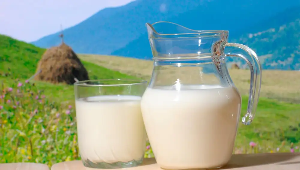 Los ciudadanos verán por primera vez en el etiquetado de los lácteos el país de origen en el que la leche ha sido ordeñada / Dreamstime