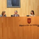 Imagen del pleno de la Diputación de Málaga / Foto: La Razón
