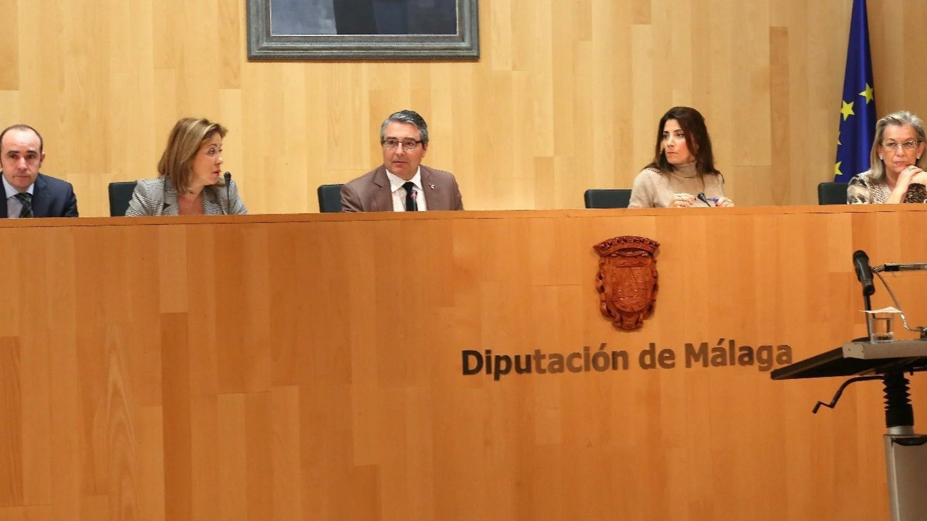 Imagen del pleno de la Diputación de Málaga / Foto: La Razón