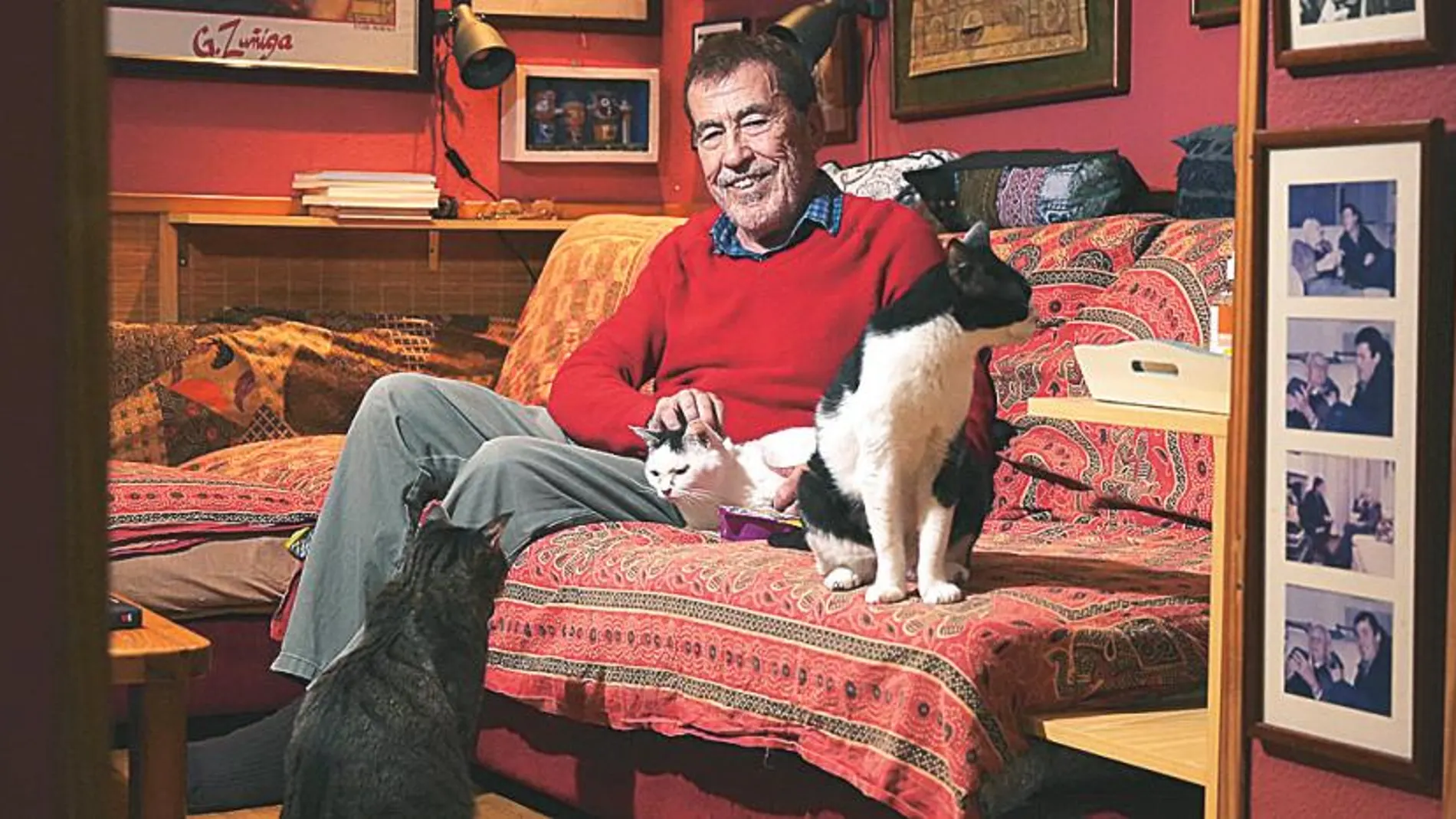 El escritor, junto a sus gatos en el sofá donde se sienta a leer y los tres se le tumban encima