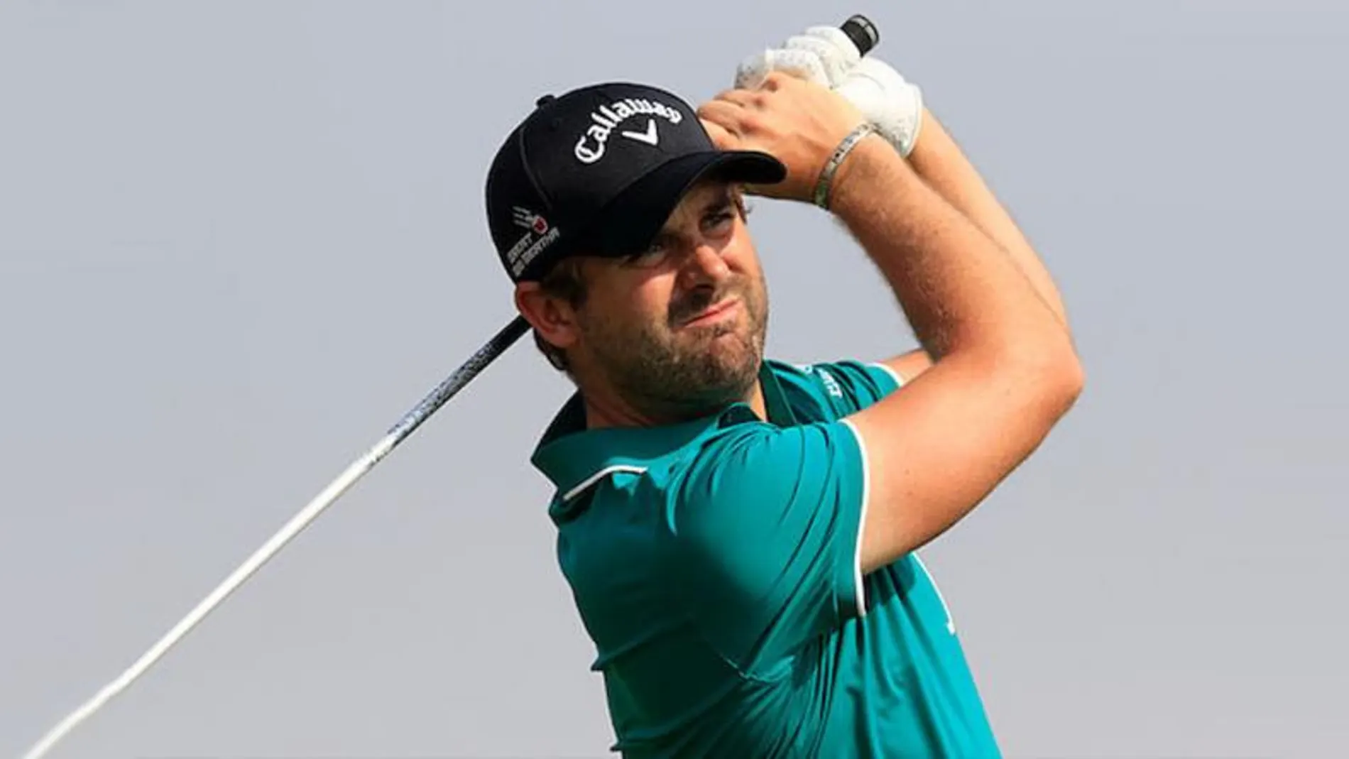 Matthew Baldwin gecko tour victoria