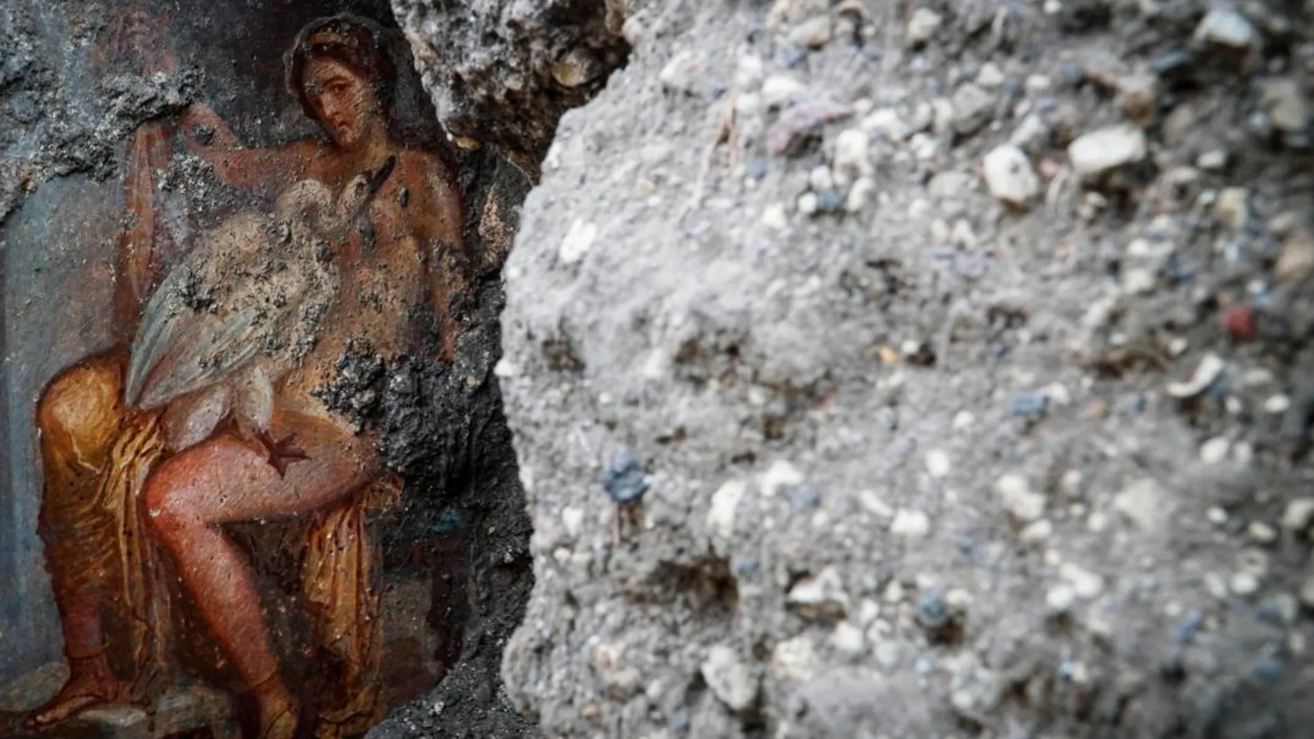Vista del fresco "Leda e il cigno"(Leda y el cisne), descubierto recientemente en el área "Regio V", del Parque Arqueológico de Pompeya / Fotos: Efe