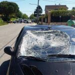 Hayden destrozó con su cuerpo el parabrisas del coche que le atropelló