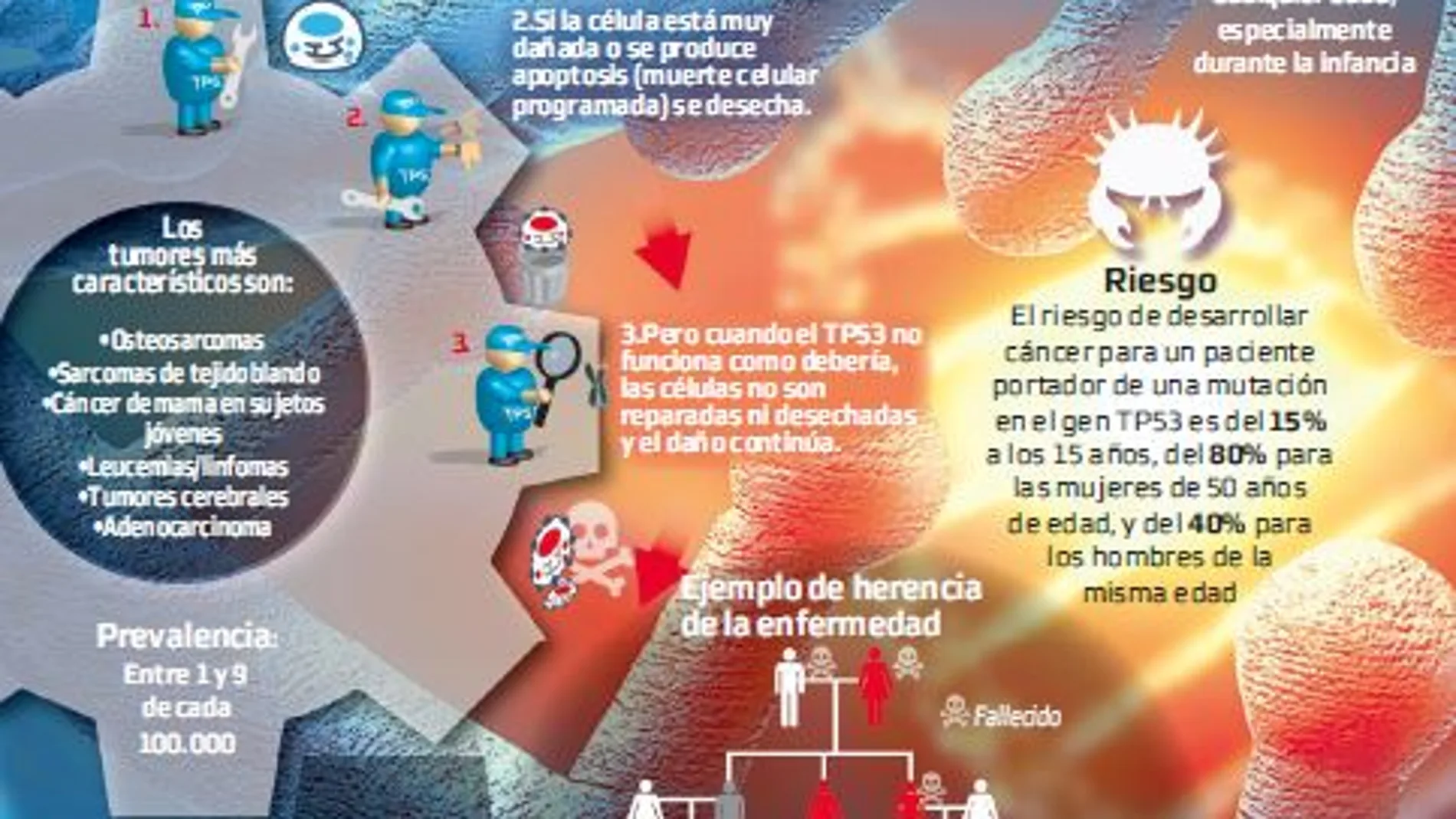 Hasta tres tumores en un mismo paciente por el gen TP53