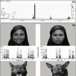 Emociones presentadas a los perros en imagen y sonido