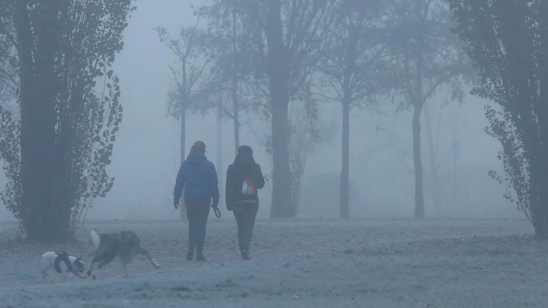 Dos mujeres pasean a sus perros bajo la niebla, frío y helada en Ponferrada