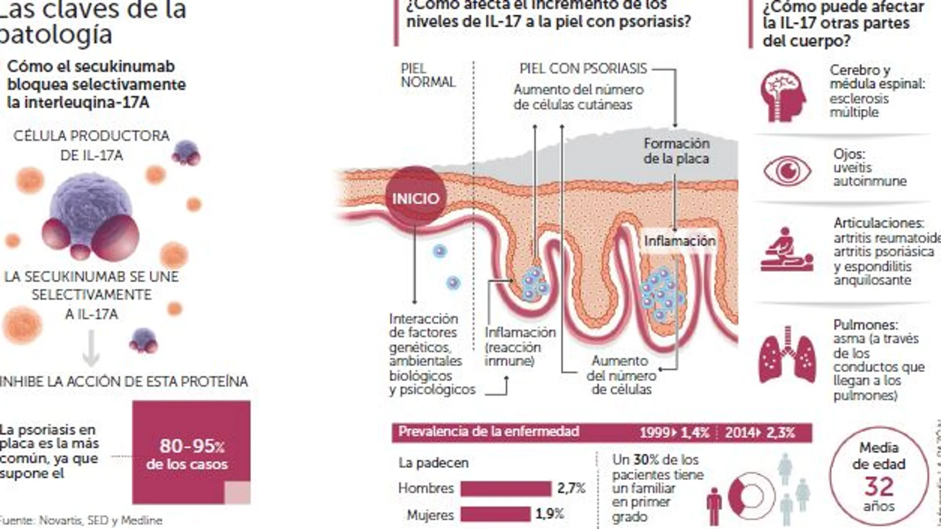 Las claves de la patología