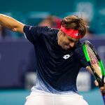 David Ferrer: sus mejores golpes