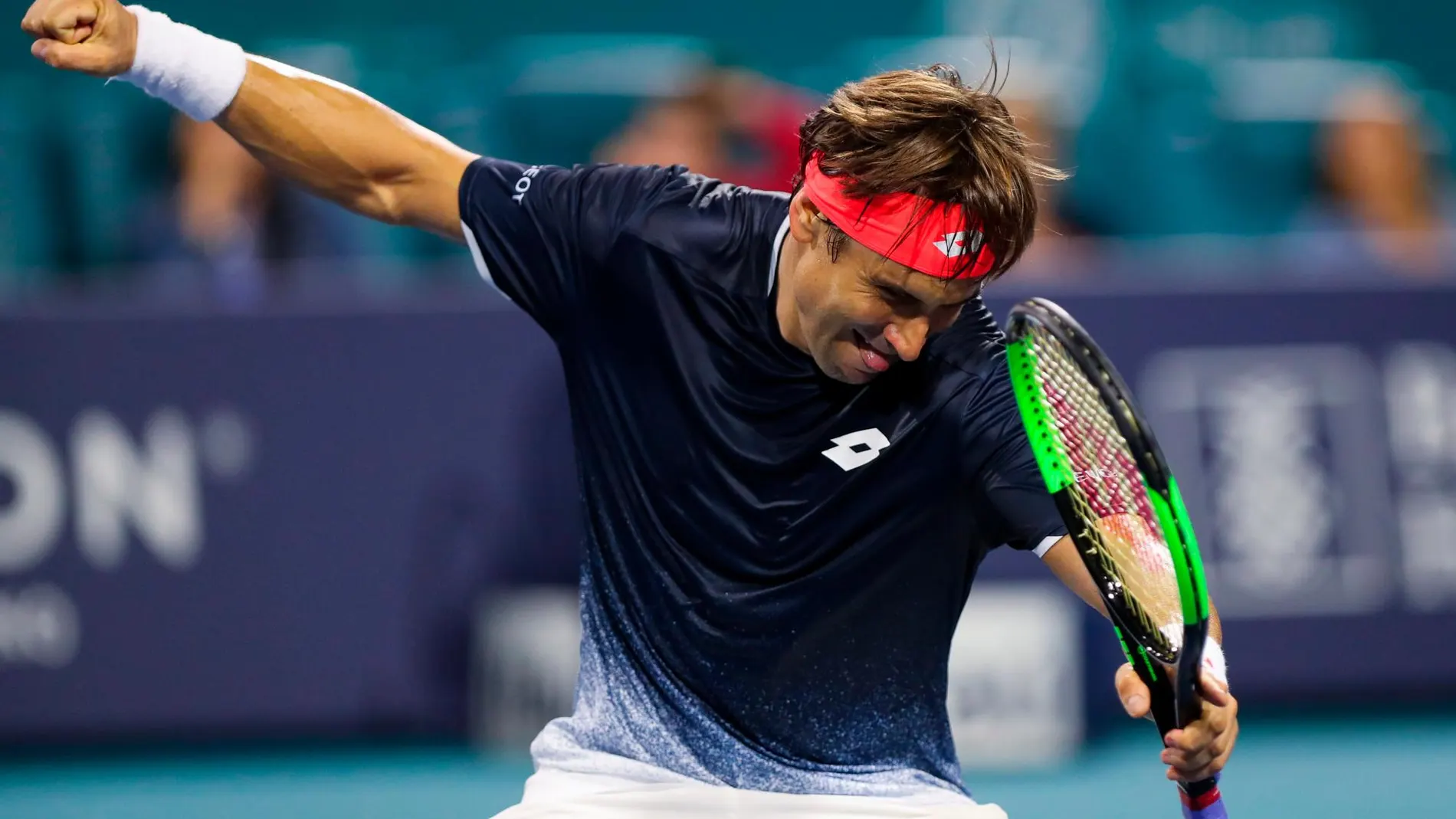 David Ferrer: sus mejores golpes