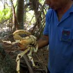 Un pescador local en Kiribati, en una imagen de archivo