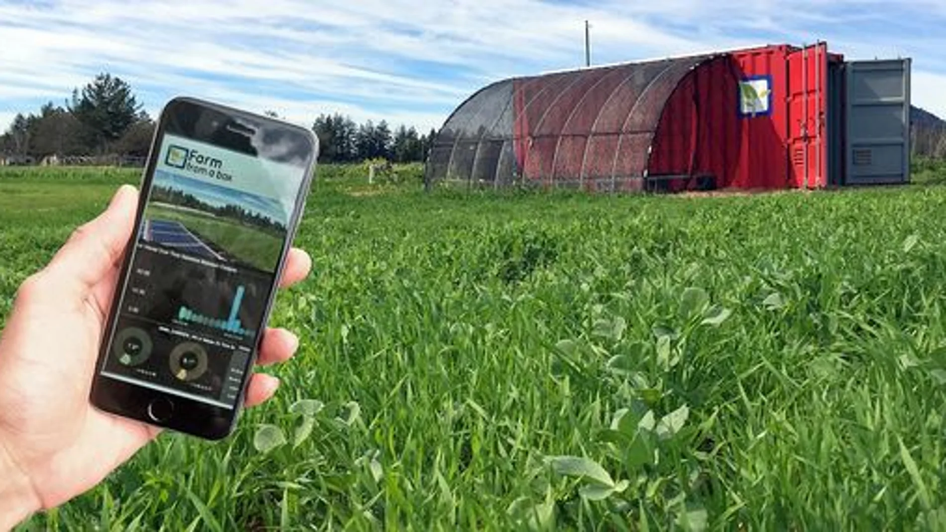 La telefonía móvil permite hacer un seguimiento de cualquier problema que pueda surgir / Foto: farm from a box