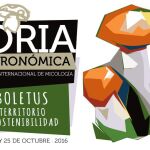Cinco de los principales chefs gallegos aportarán su experiencia como «Comunidad invitada» al congreso Soria Gastronómica