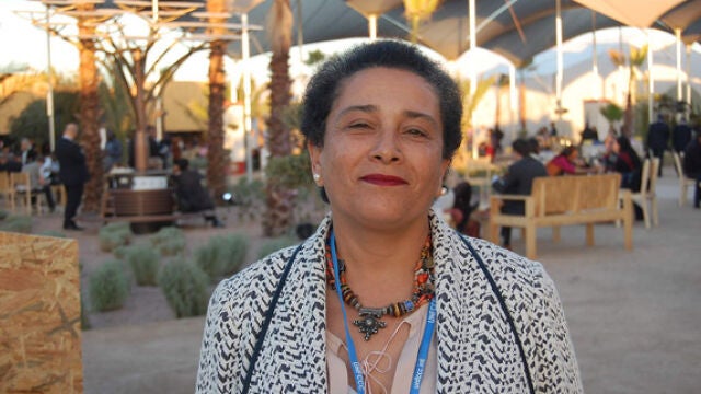Jamila Bargach, que ha asistido a la Cumbre del Clima de Marrakech, conoce bien el problema al que se enfrentan las mujeres bereberes del sur de Marruecos para recoger agua. Junto a la investigadora canaria María Victoria Marzol ha instalado un sistema de mallas para capturar agua de la niebla. / SINC