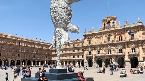 El «Gran Elefant Dret», convertido en un reclamo, se levanta en la Plaza Mayor salmantina