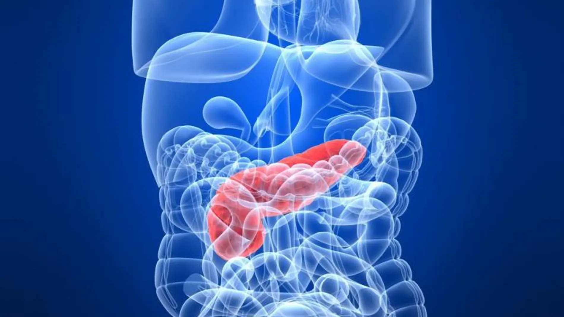Consejos para prevenir la pancreatitis
